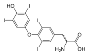 Strukturformel des L-Thyroxins