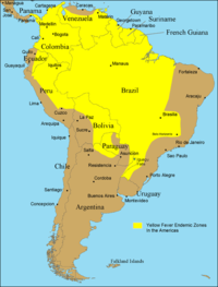 Verbreitung des Gelbfiebers in Südamerika 2005.