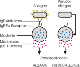 Allergie und Pseudoallergie