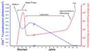 Verlauf einer HIV-Infektion/AIDS (Lymphzytenzahl, Viruslast)