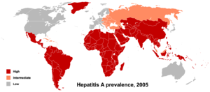 Hepatitis A – Verbreitung auf der Welt (Stand 2005)