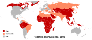 Verbreitung Hepatitis B (Stand 2005)